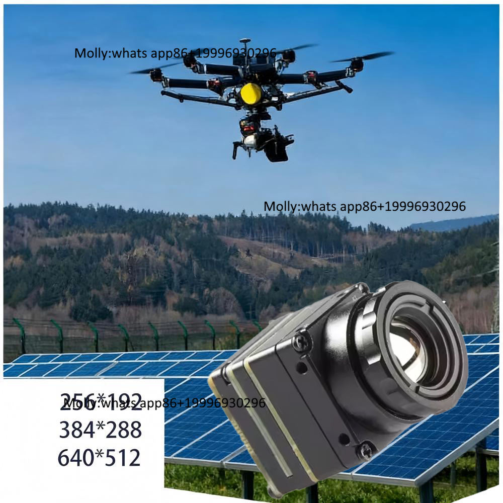 Миниатюрный FPV-модуль теплови – обзор и цена Thermal Camera Type C 384X288